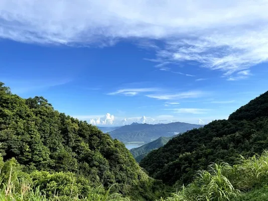 梧桐山 (10).webp
