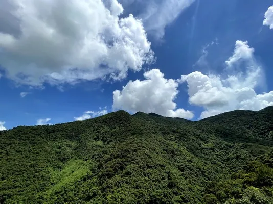 梧桐山 (3).webp