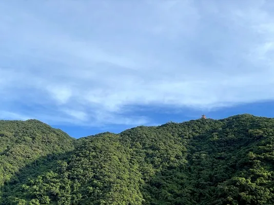 梧桐山 (8).webp