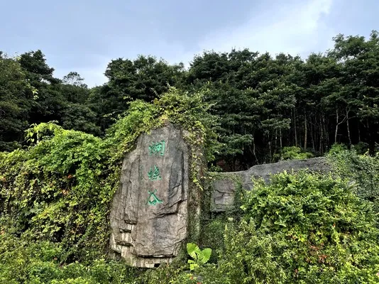 梧桐山 (11).webp