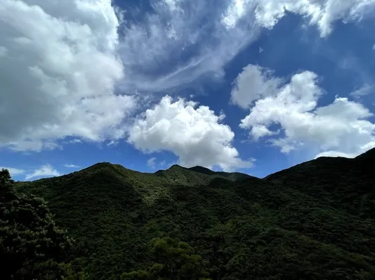 梧桐山 (2).webp