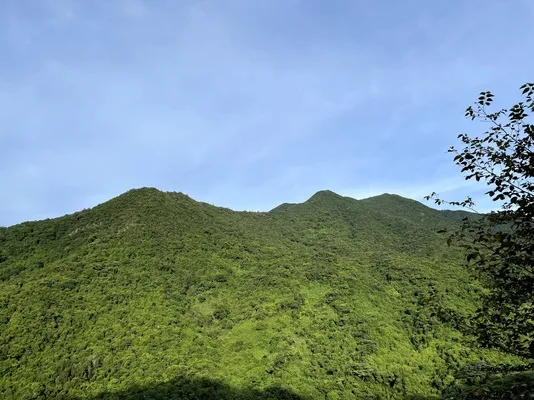 梧桐山 (9).webp