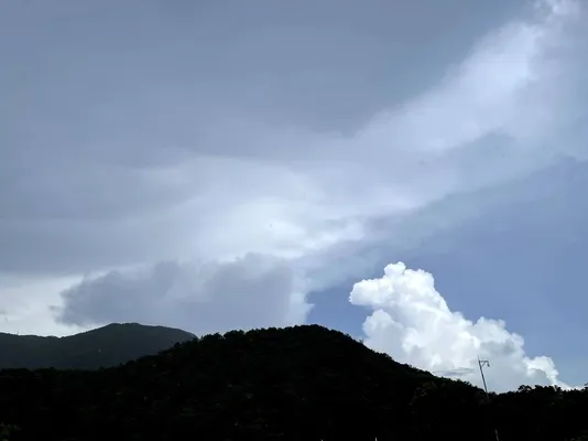 梧桐山 (12).webp