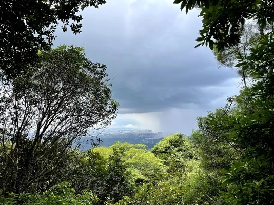 梧桐山 (5).webp